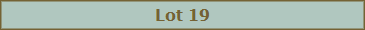 Lot 19