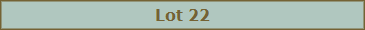 Lot 22