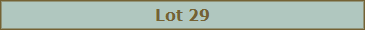 Lot 29