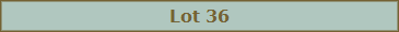 Lot 36